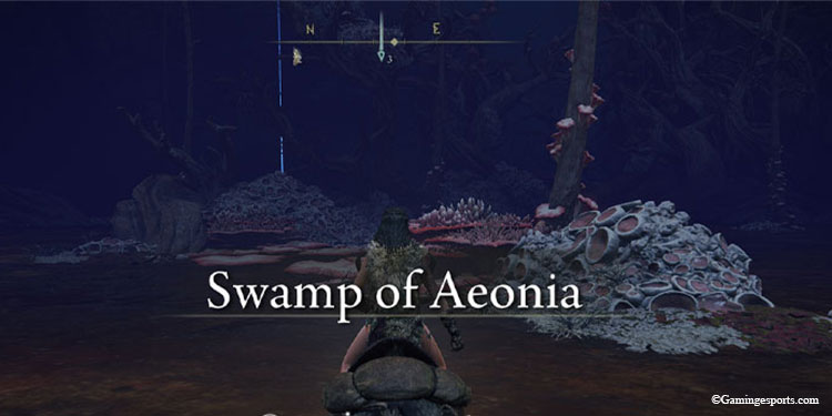 Swamp-of-Aeonia