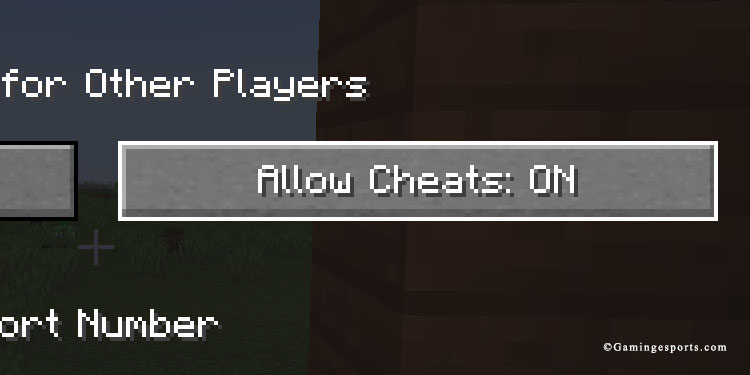 allow cheats