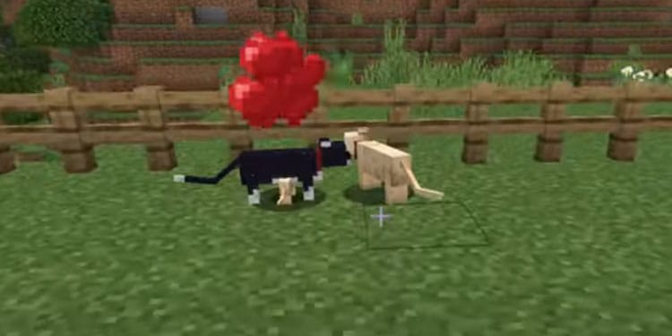 cat love mode minecraft