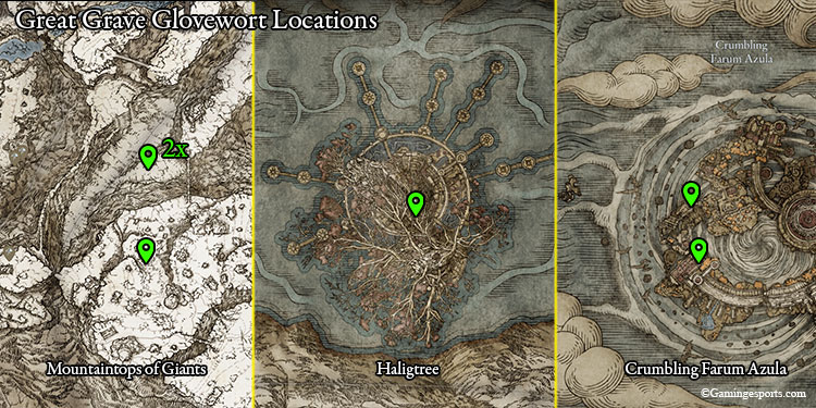 great-grave-glovewort-location