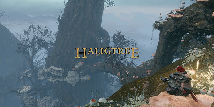 how to get to haligtree