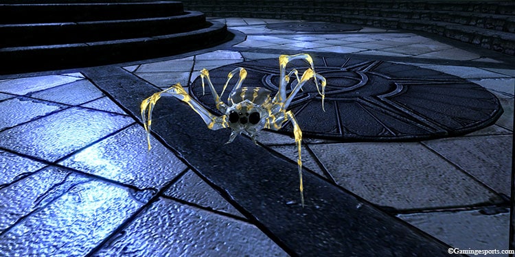 pack-spider