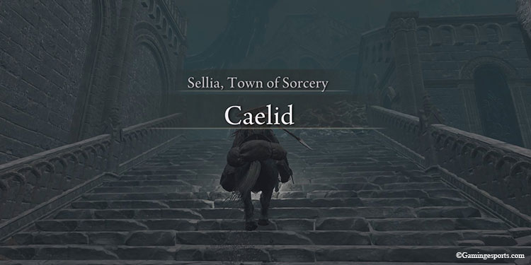 sellia-town-of-sorcery