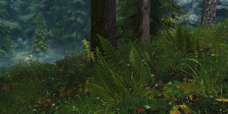 skyrim-flora-overhaul-sample-image