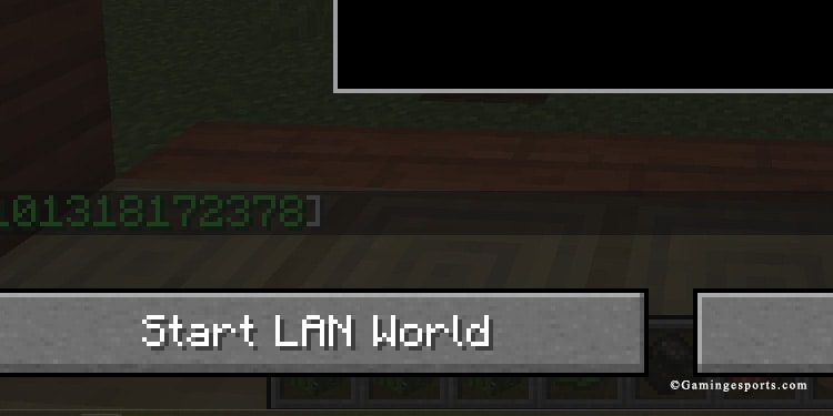 start lan world