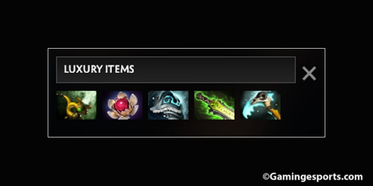 support-pudge-luxury-items