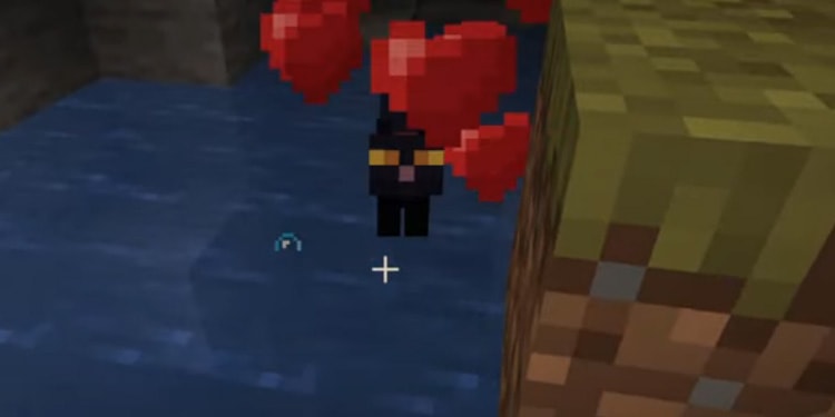 tame cat in minecraft