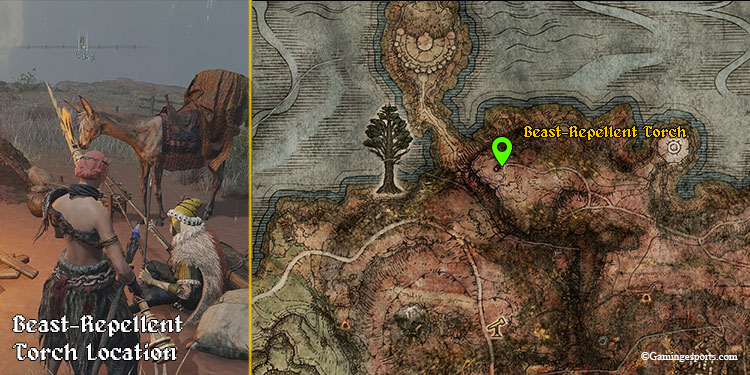 Beast-repellent-torch-location