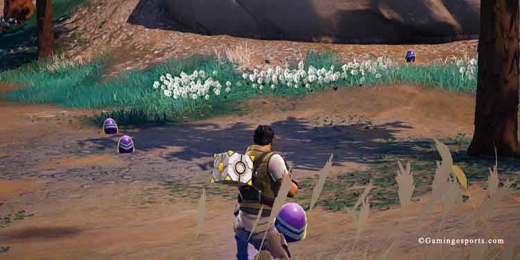 Where to Find Laid Eggs Fortnite?