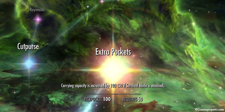 extra-pocket-perk