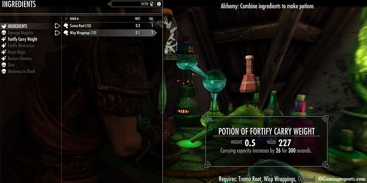 potion-of-fortify-carry