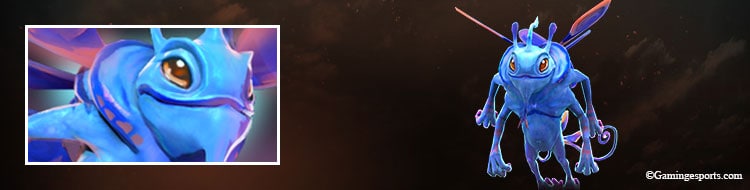 puck-banner