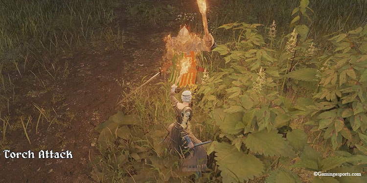 torch-attack