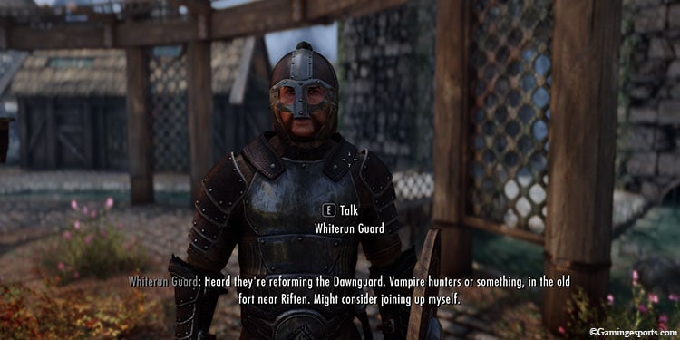 guard-mentioning-dawnguard