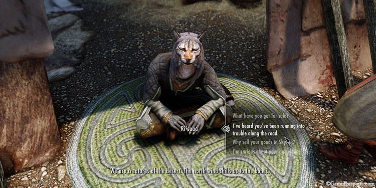 khajit-problems