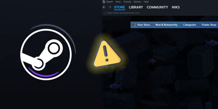 fix steam store not loading